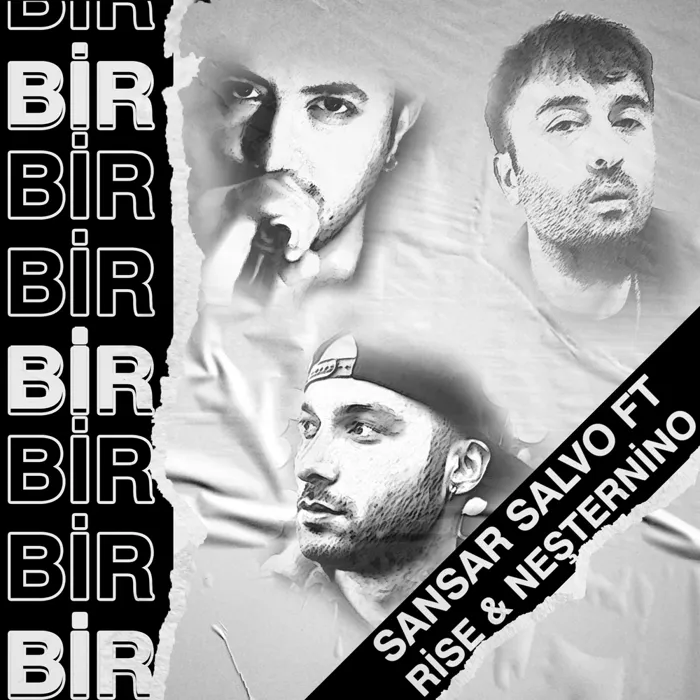 Neşternino