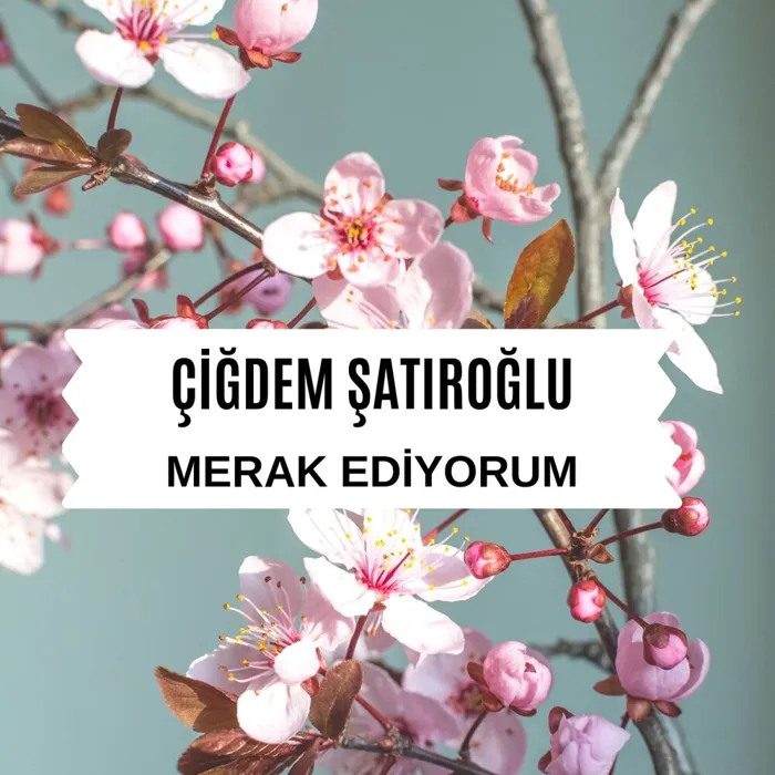 Çiğdem Şatıroğlu