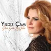 Yıldız  Çam