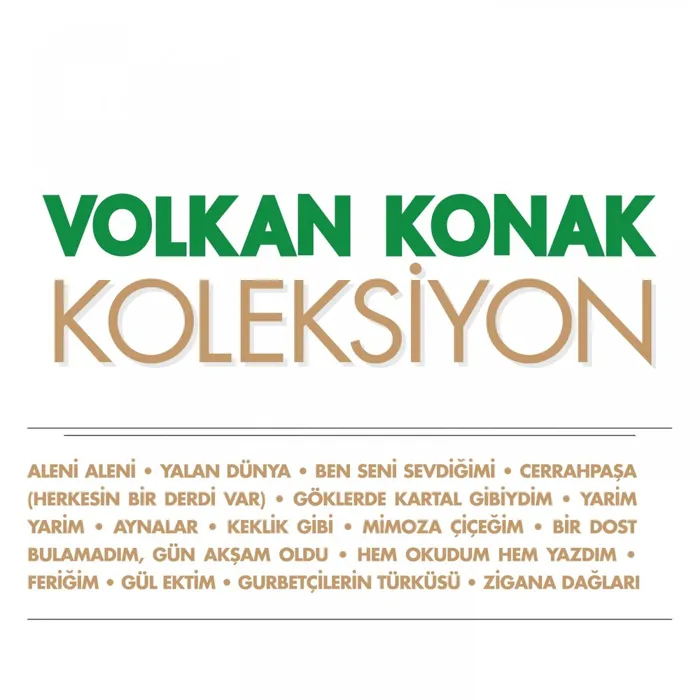 Volkan Konak