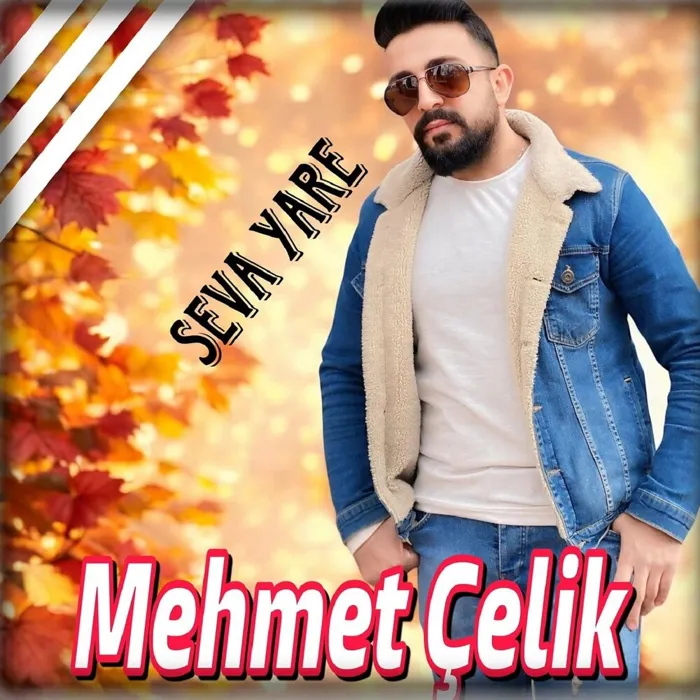 Mehmet Çelik