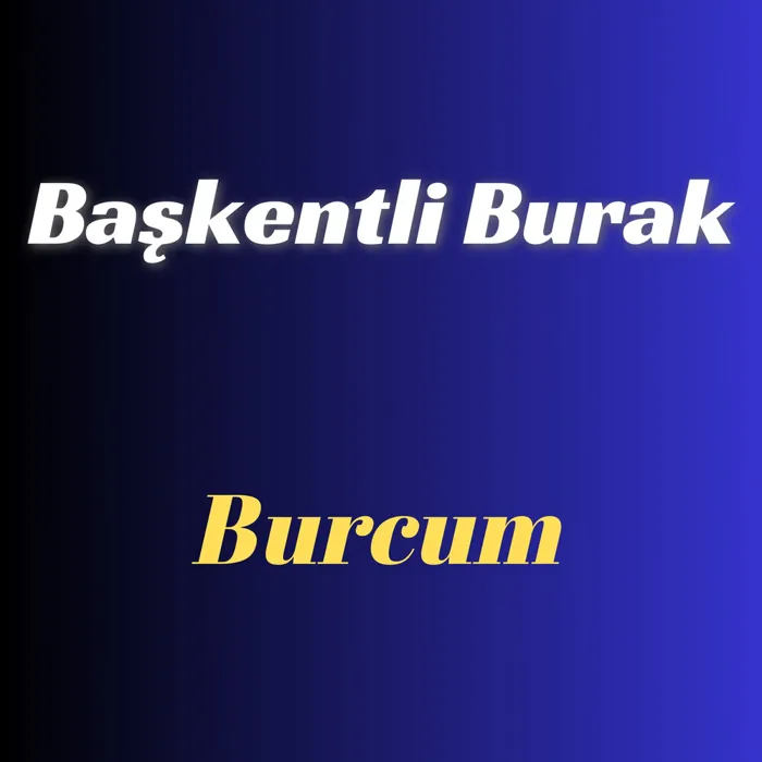 Başkentli Burak