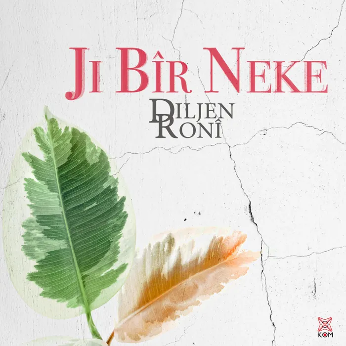 Diljen Roni
