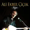 Ali Ekber Çiçek