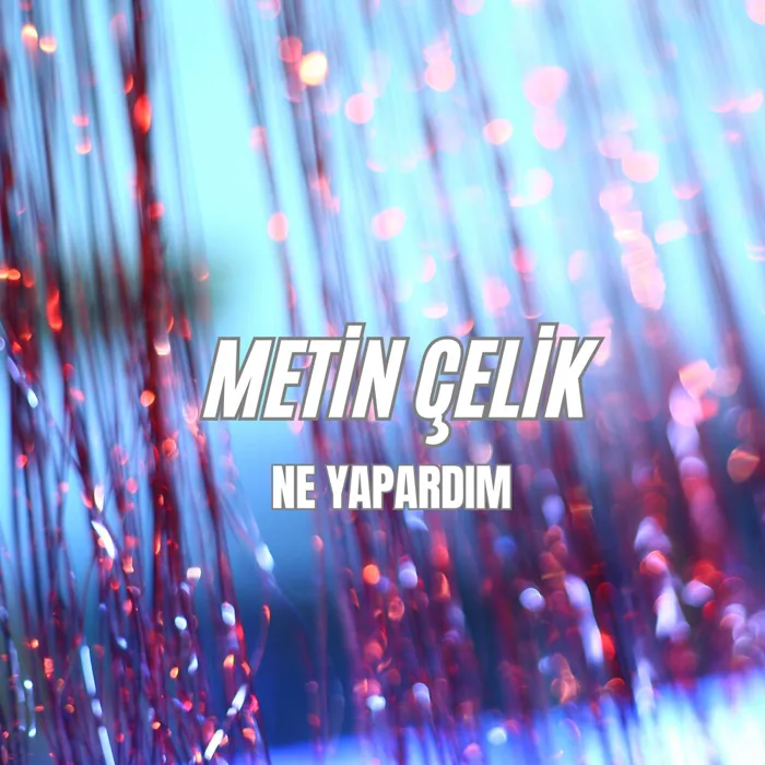 Metin Çelik
