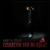 Gülay Sezer