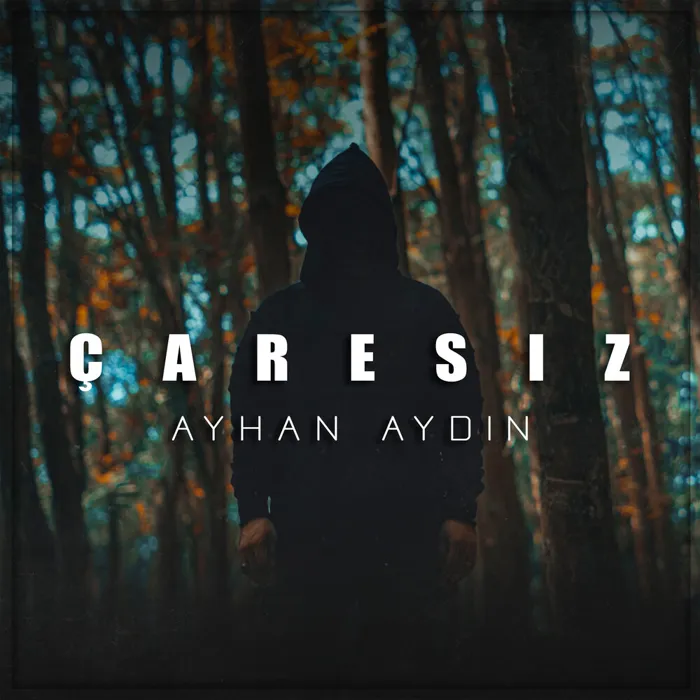 Ayhan Aydın