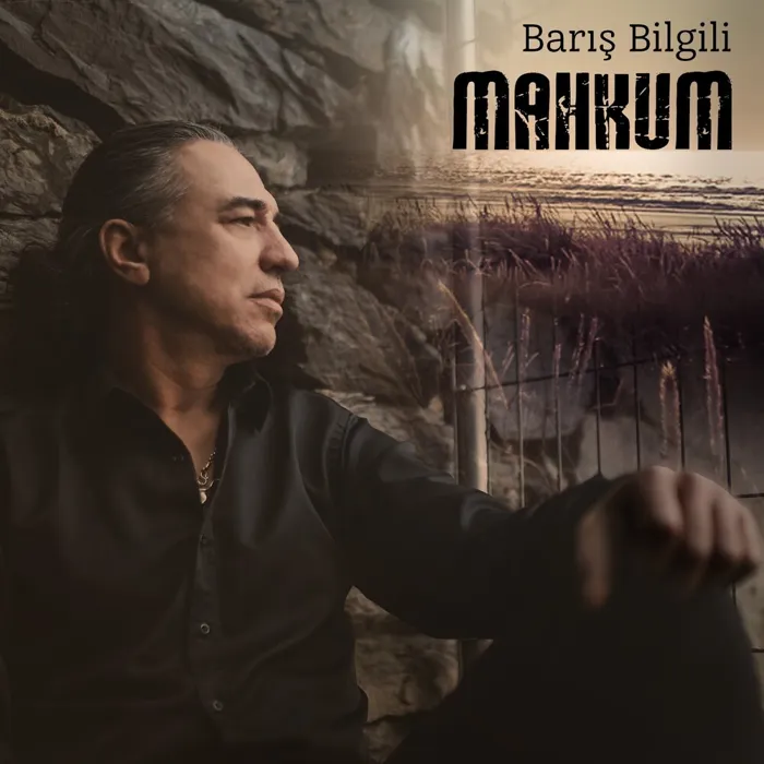 Barış Bilgili