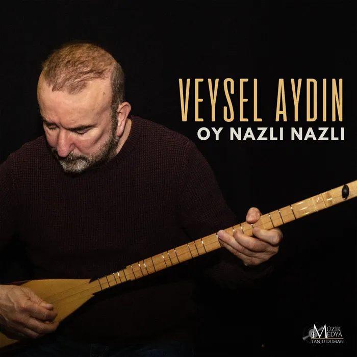 Veysel Aydın