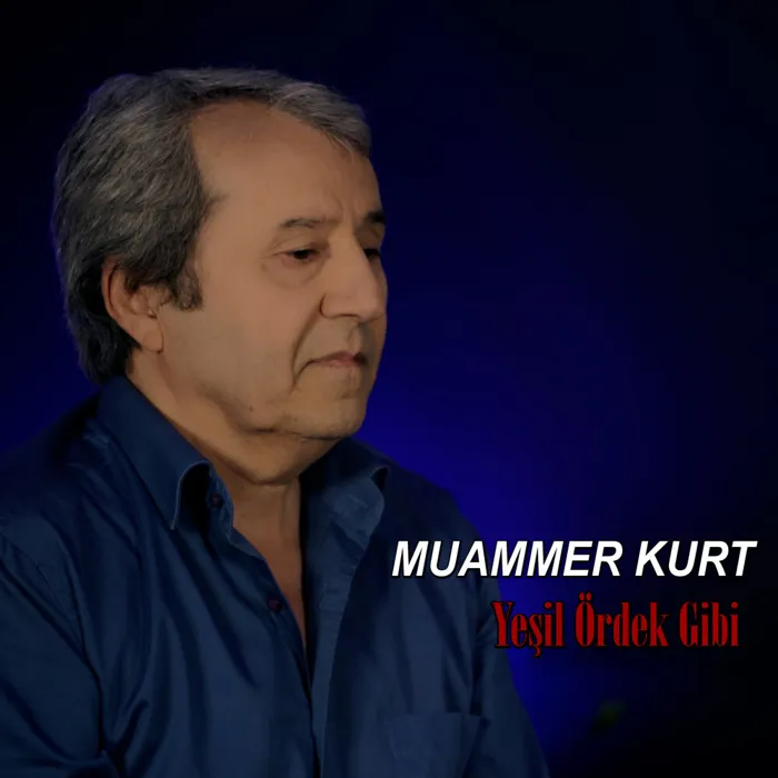 Muammer Kurt