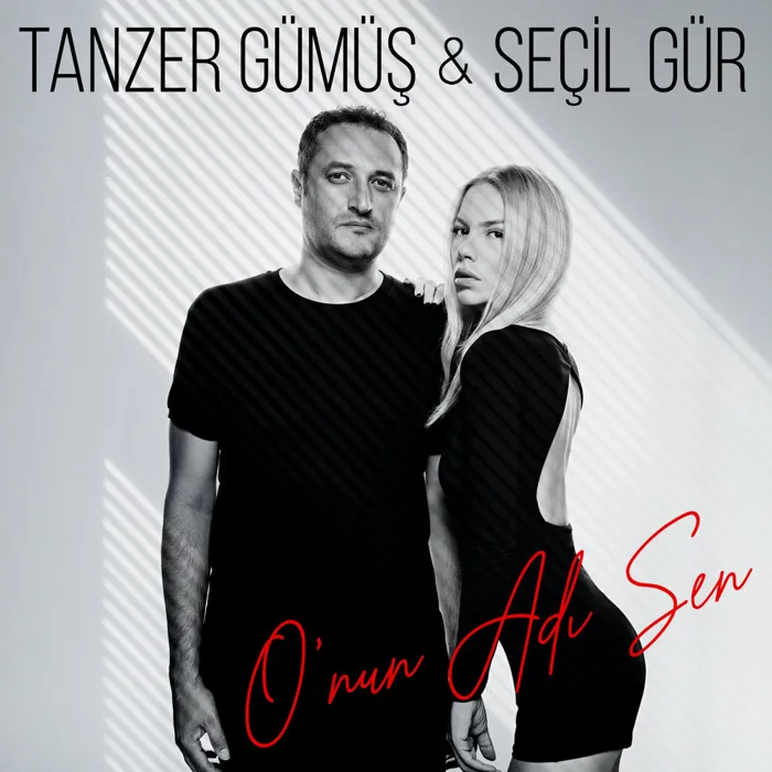 Tanzer Gümüş