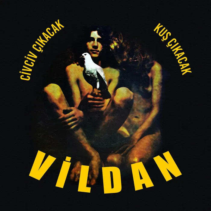 Vildan