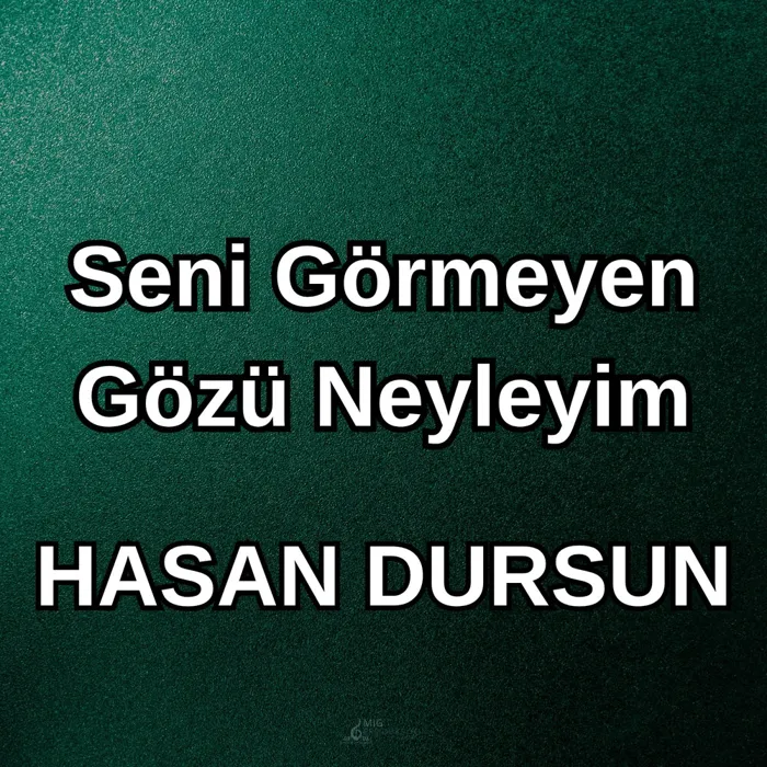Hasan Dursun