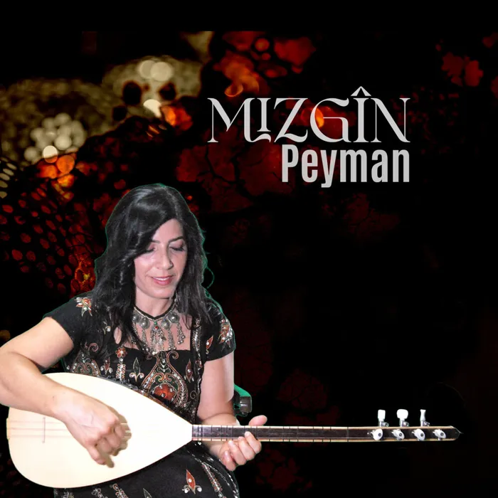 Mizgin