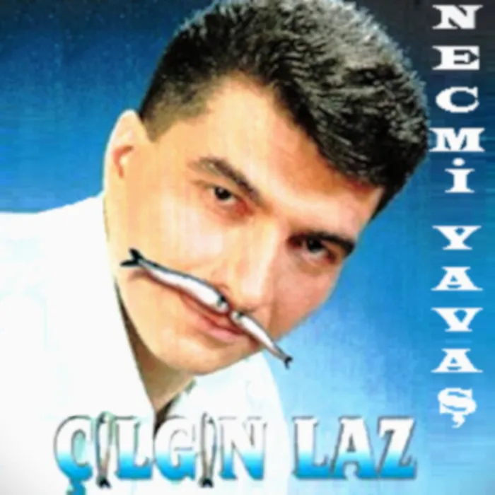 Necmi Yavaş