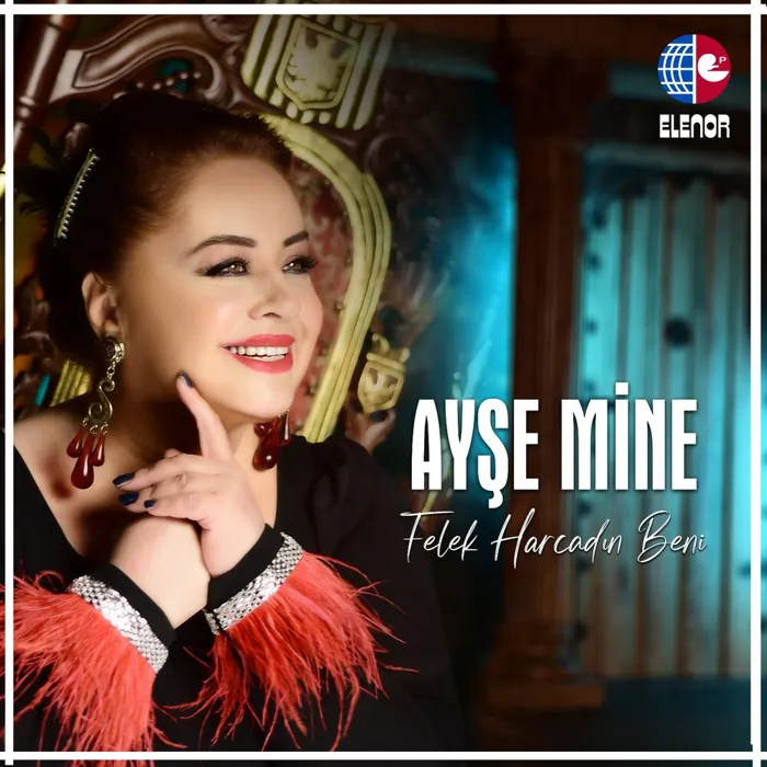 Ayşe Mine