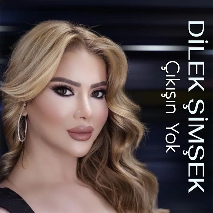Dilek Şimşek