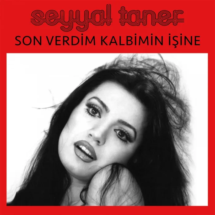 Seyyal Taner