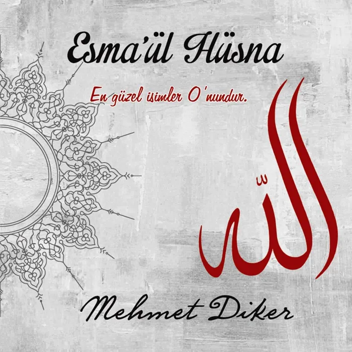 Mehmet Diker