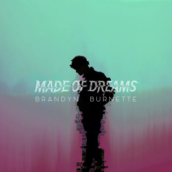 Brandyn Burnette
