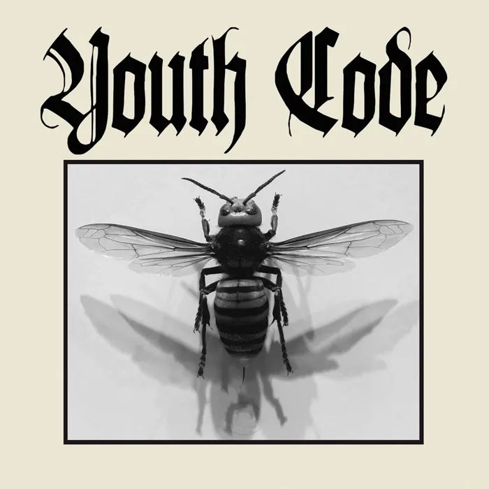 Youth Code