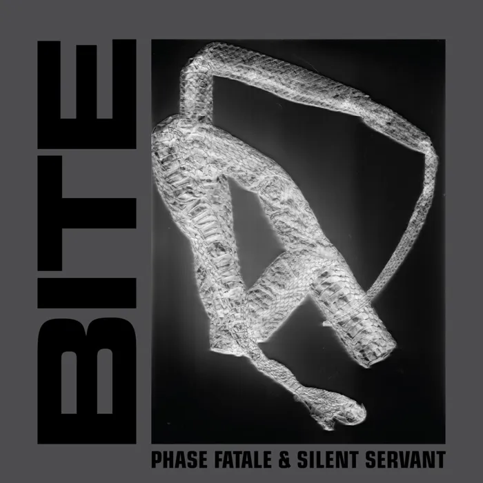 Silent Servant