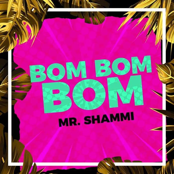 Mr. Shammi