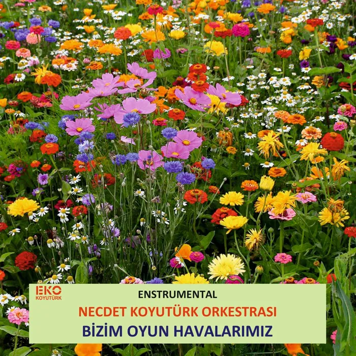 Necdet Koyutürk Orkestrası