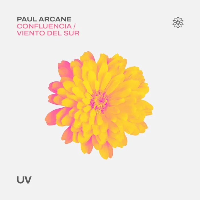 Paul Arcane