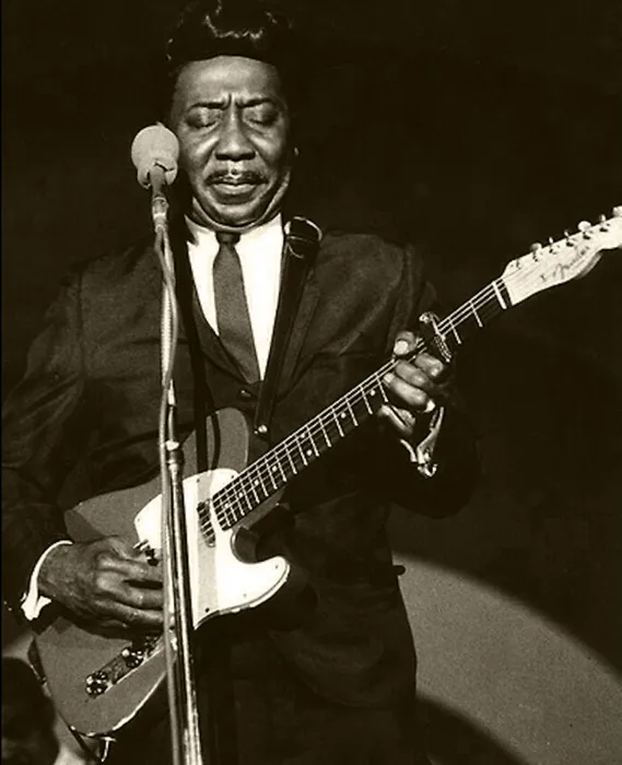 Muddy Waters