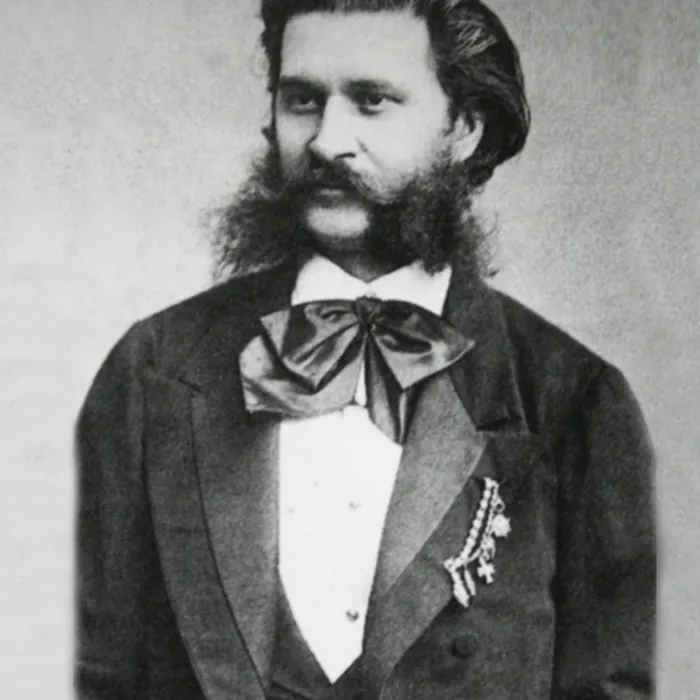 Иоганн Штраус-сын Иоганн Штраус-сын