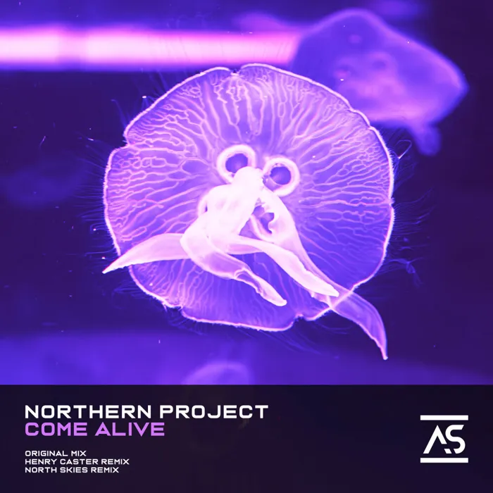 Northern Project