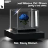 Lost Witness