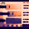 Genotype