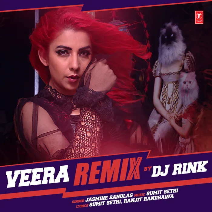 DJ RInk