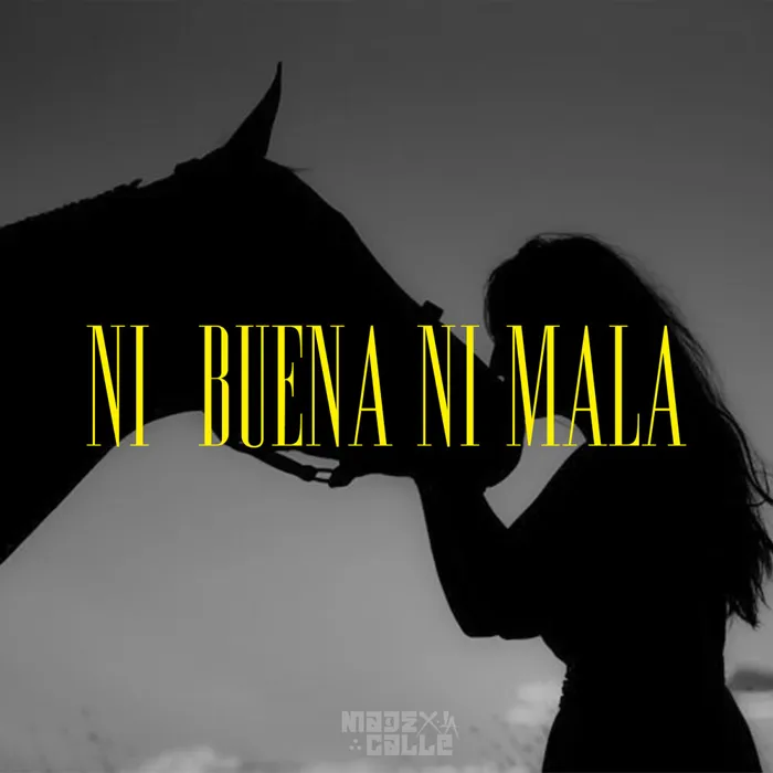 Calle x Vida