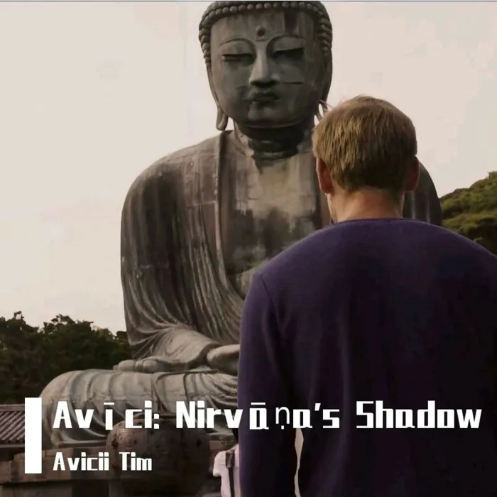 Avicii Tim