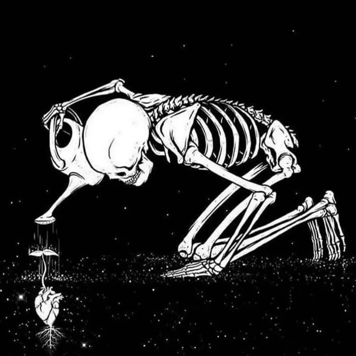 Ben Bones