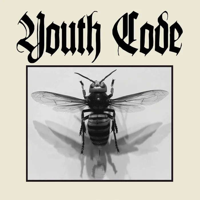 Youth Code