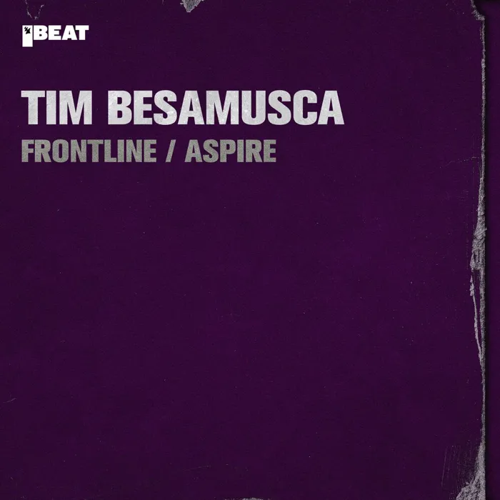 Tim Besamusca