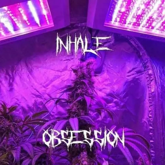 Inhale