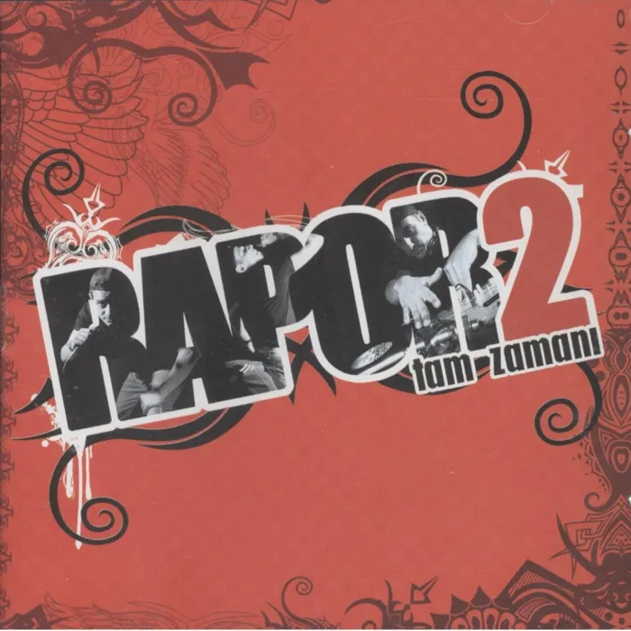 Rapor 2
