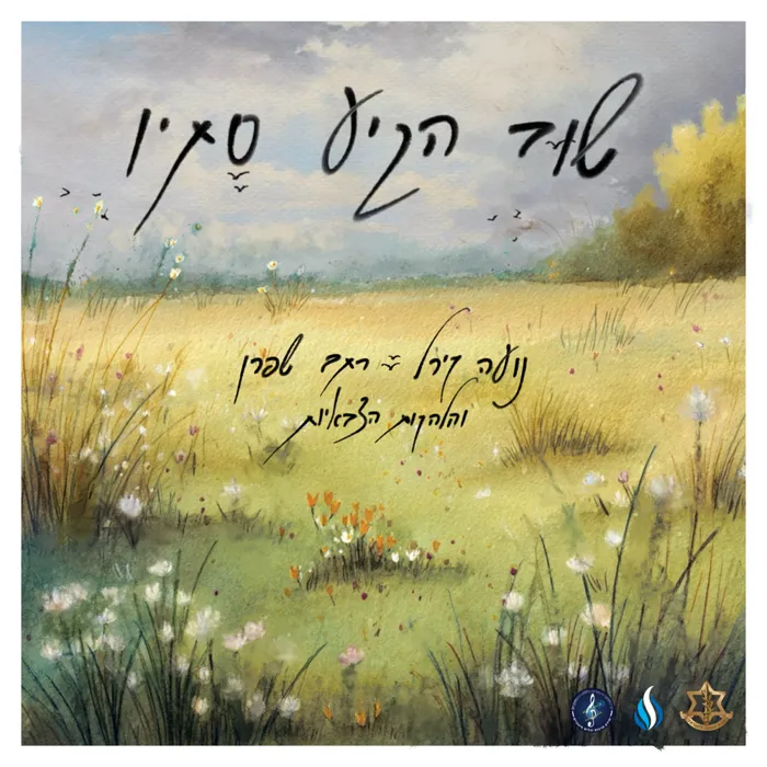 Rotem Shafran