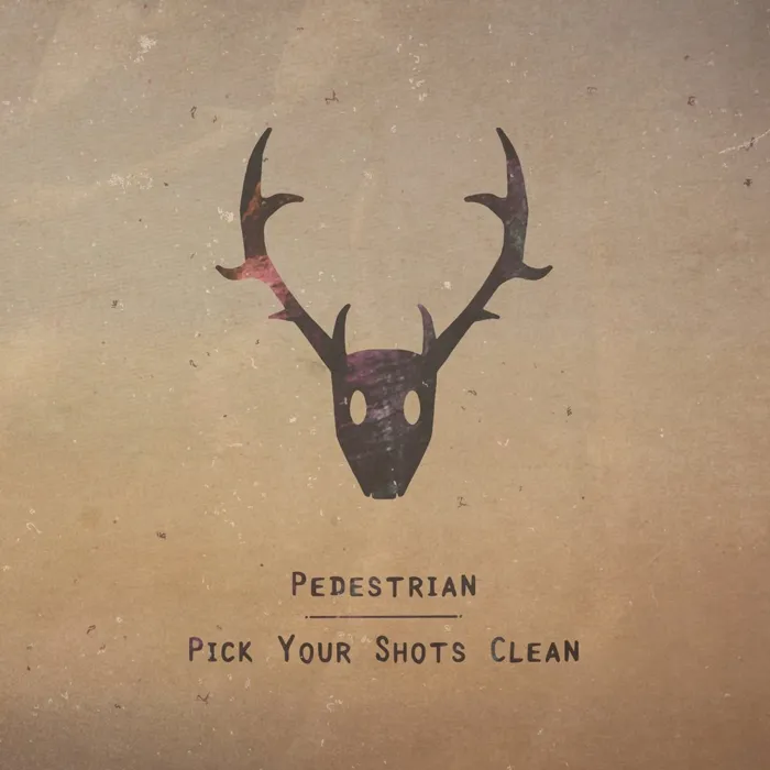 Pedestrian