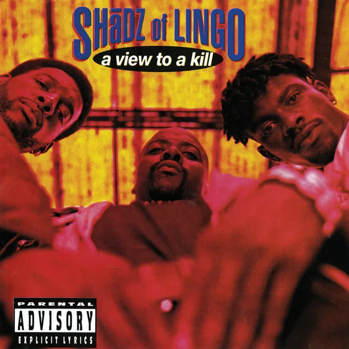 Shadz Of Lingo