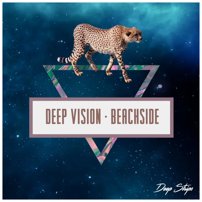 Deep Vision