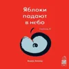 Дуальное зеркало Дуальное зеркало