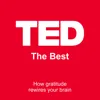 How gratitude rewires your brain How gratitude rewires your brain
