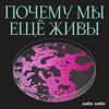 Иногда они возвращаются: почему мы не можем победить грипп Иногда они возвращаются: почему мы не можем победить грипп