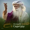 Секреты творения, которые вы не знали Секреты творения, которые вы не знали